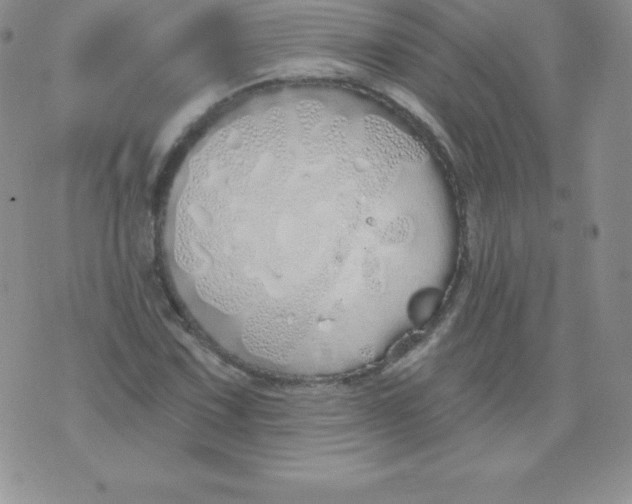 X0000071941067200607281938