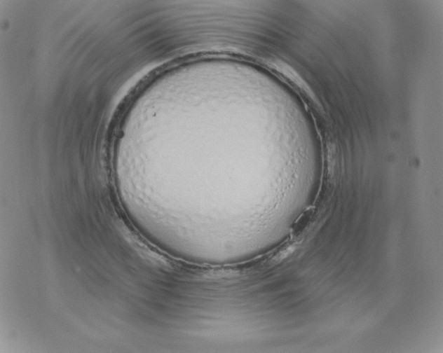 X0000071941068200607281938