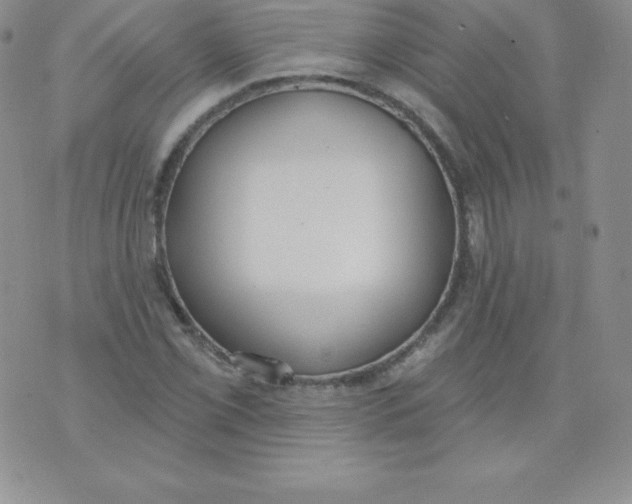 X0000071941069200607281938