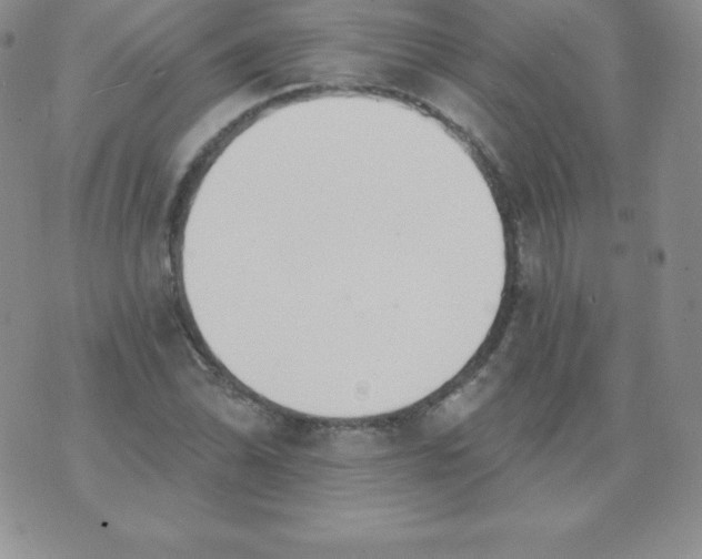 X0000071941070200607281938