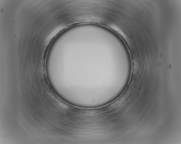 X0000071941071200607281938