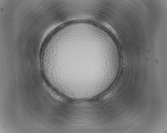 X0000071941072200607281938