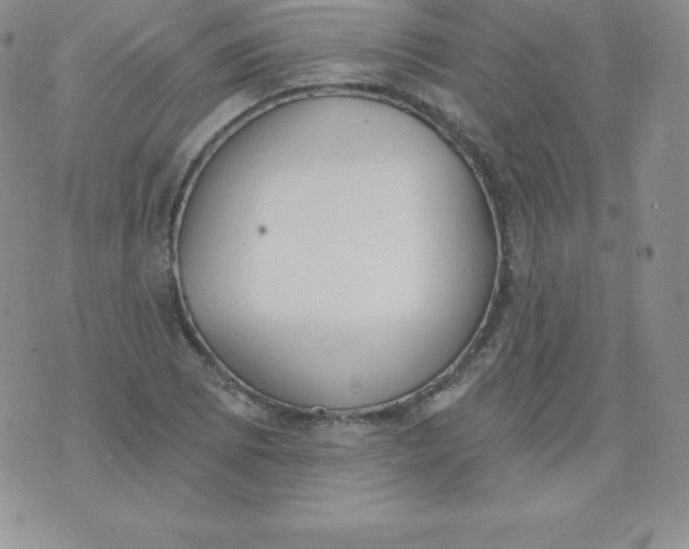 X0000071941073200607281938