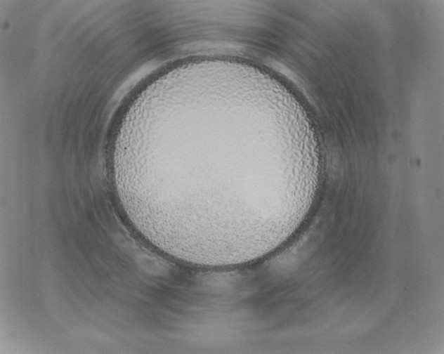 X0000071941074200607281938