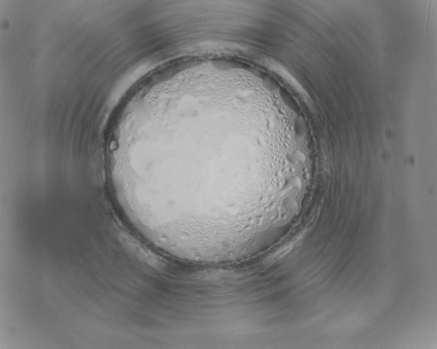 X0000071941075200607281938