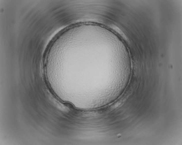 X0000071941076200607281938