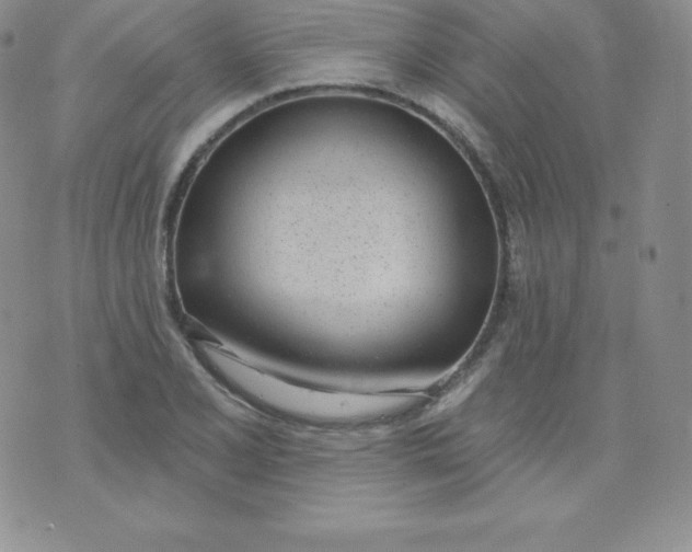 X0000071941077200607281938