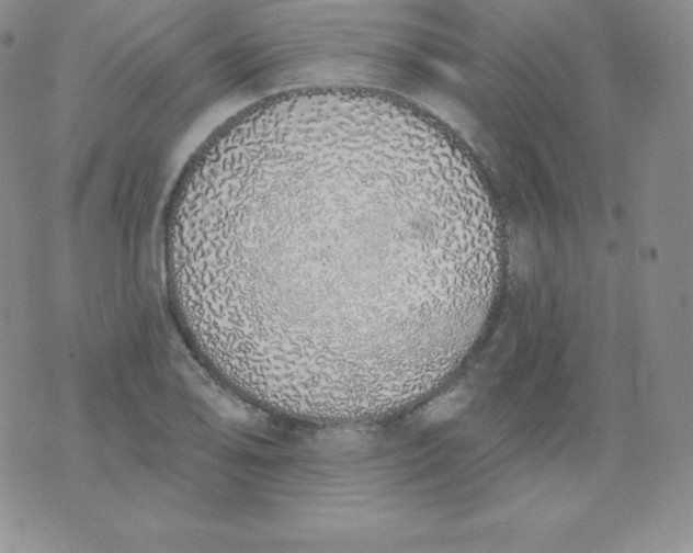 X0000071941078200607281938