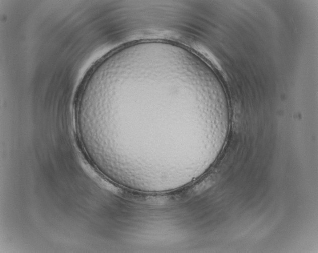 X0000071941080200607281937