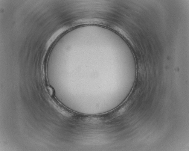 X0000071941082200607281937