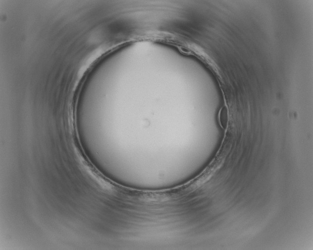 X0000071941083200607281937