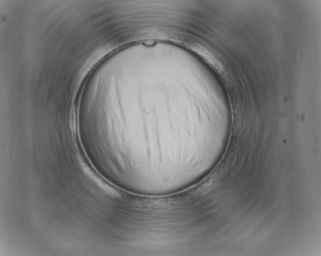 X0000071941084200607281937