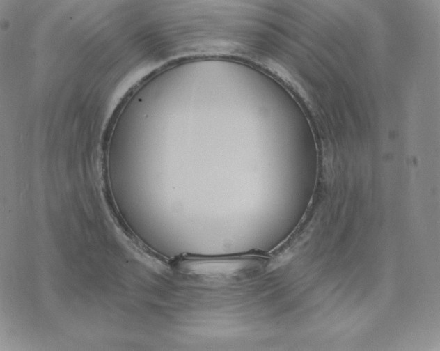 X0000071941085200607281937