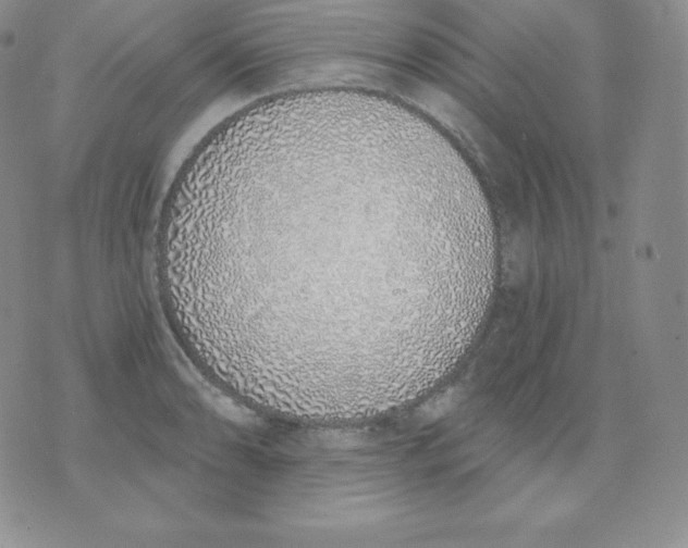 X0000071941086200607281937