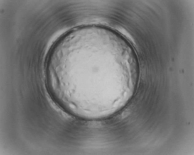 X0000071941088200607281937