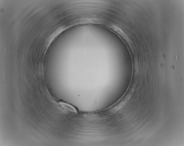 X0000071941089200607281937