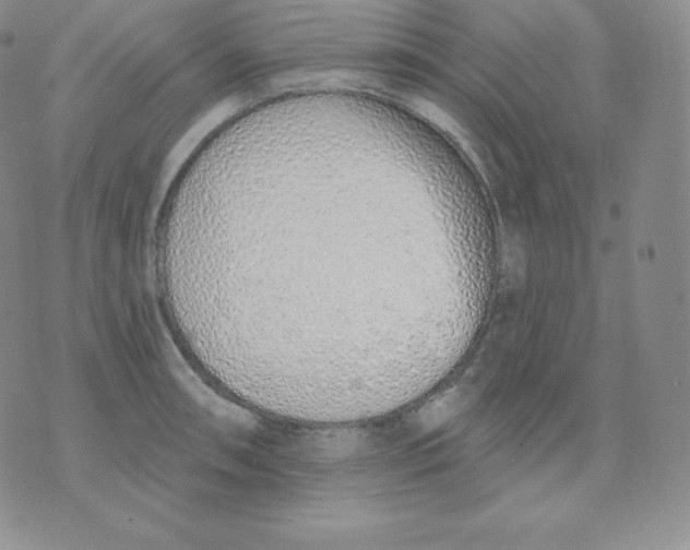 X0000071941090200607281937