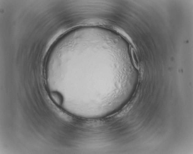 X0000071941091200607281937