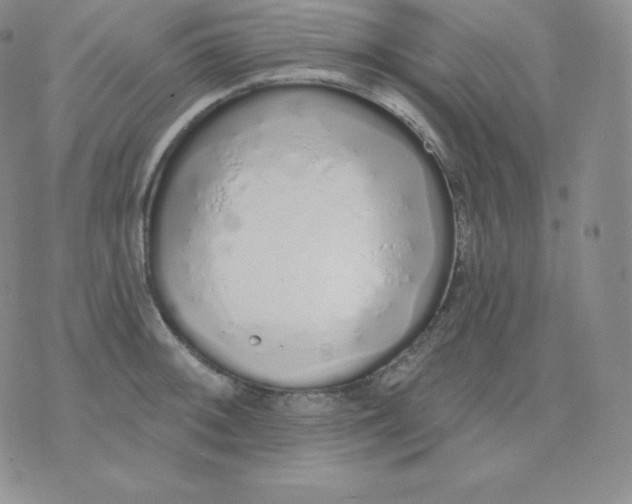 X0000071941092200607281937