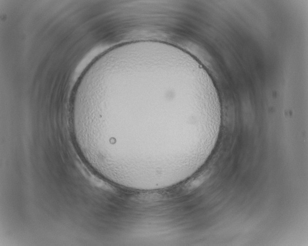 X0000071941094200607281937