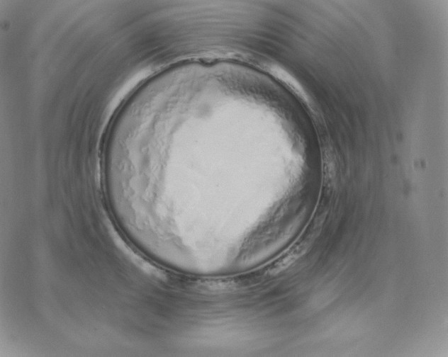 X0000071941095200607281937