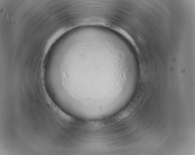 X0000071941096200607281937