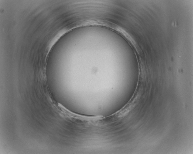 X0000071941097200607281937