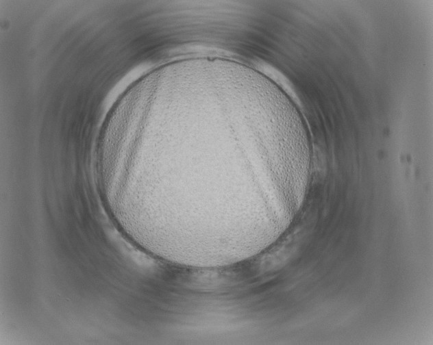 X0000071941098200607281937