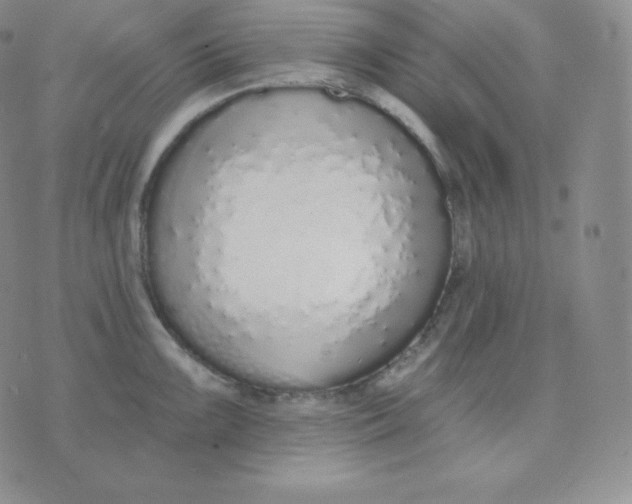 X0000071941099200607281937