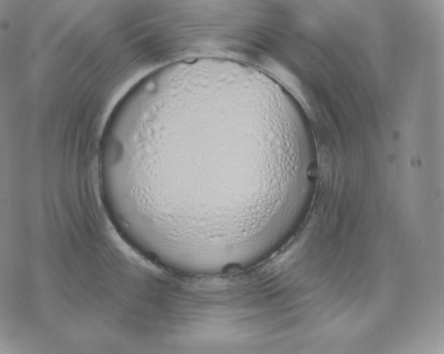 X0000071941100200607281937