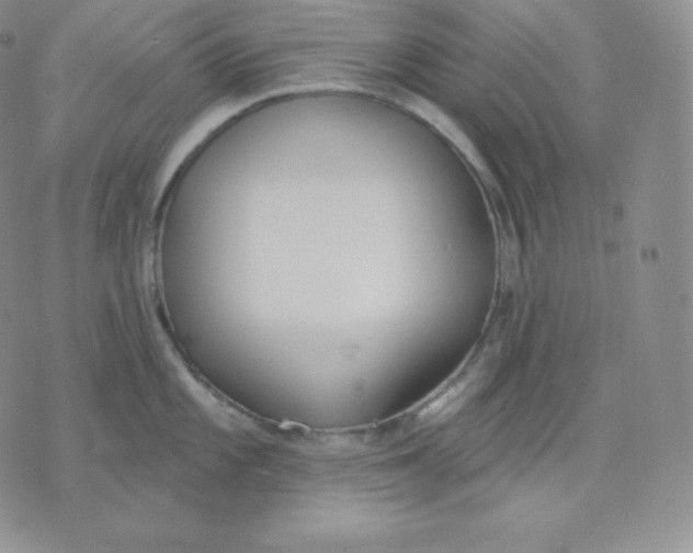 X0000071941101200607281937