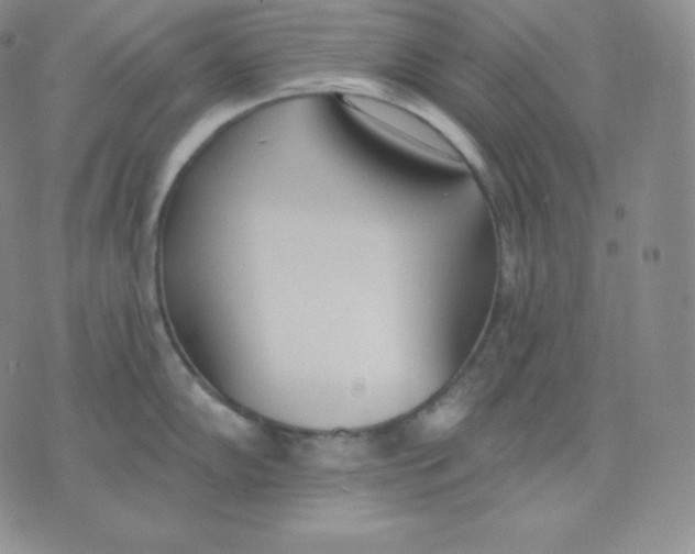 X0000071941102200607281937