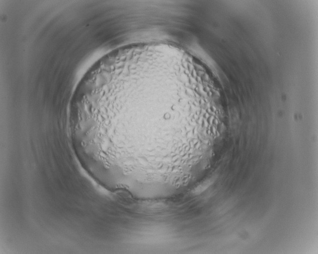 X0000071941103200607281937