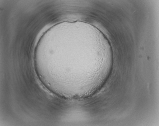 X0000071941104200607281937