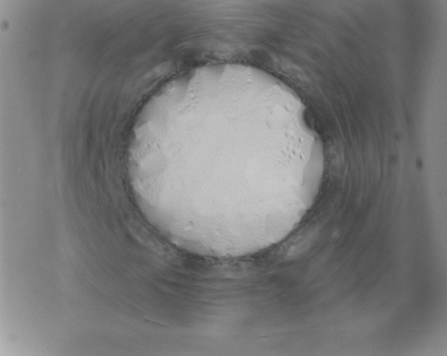 X0000071941105200607281936