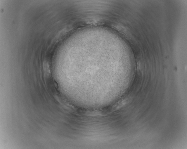 X0000071941106200607281936