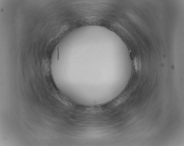 X0000071941107200607281936