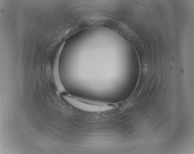 X0000071941108200607281936