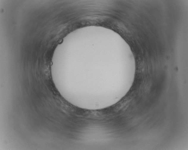 X0000071941109200607281936