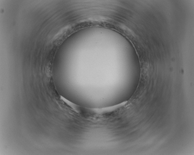 X0000071941110200607281936