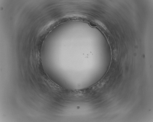 X0000071941111200607281936