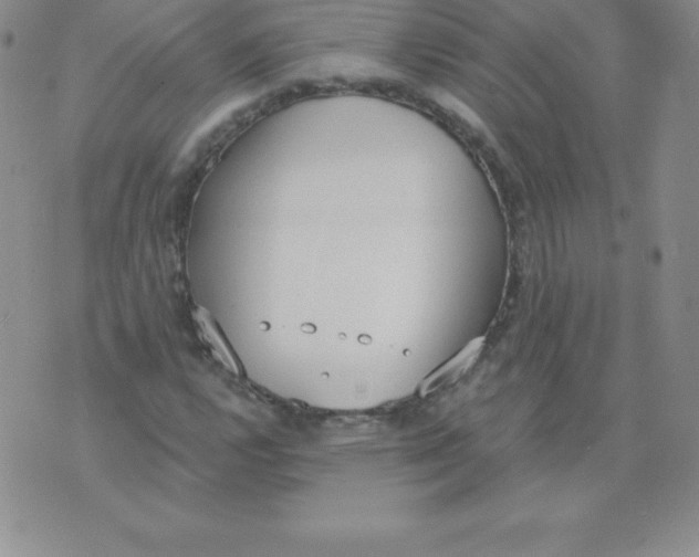 X0000071941112200607281936