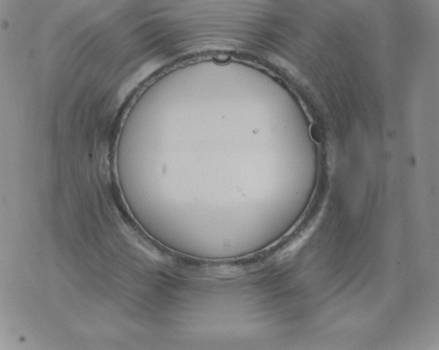 X0000071941113200607281936