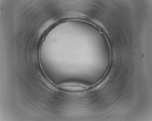 X0000071941114200607281936