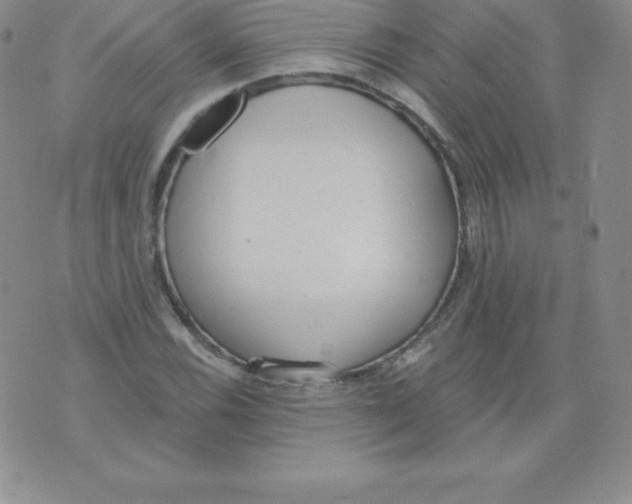 X0000071941116200607281936