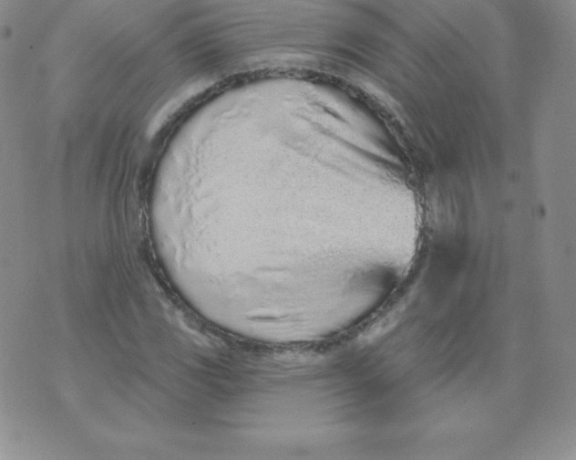 X0000071941117200607281937