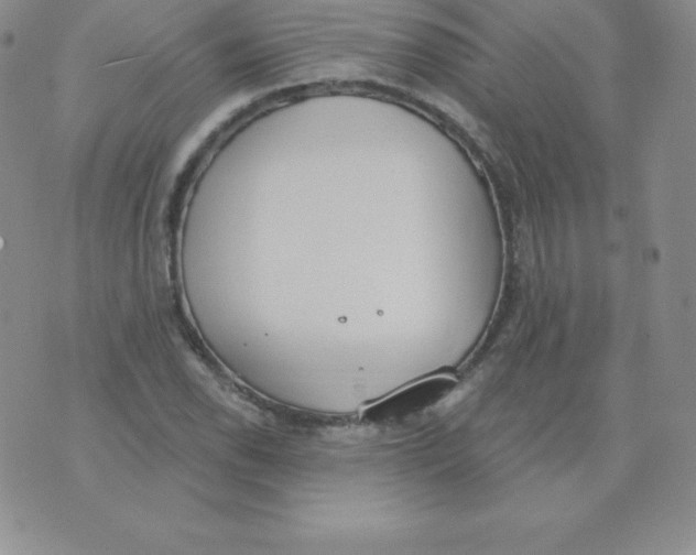 X0000071941118200607281937