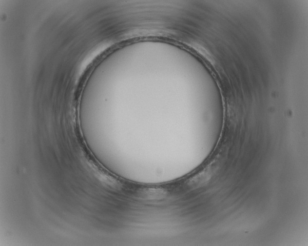 X0000071941119200607281937