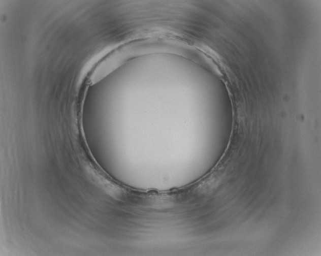 X0000071941120200607281937