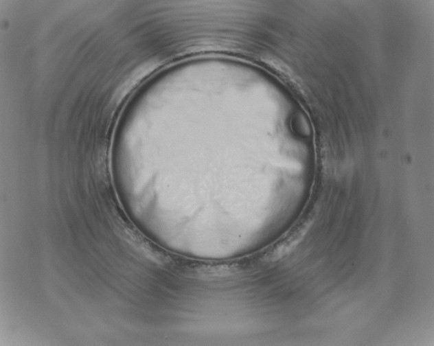 X0000071941121200607281937